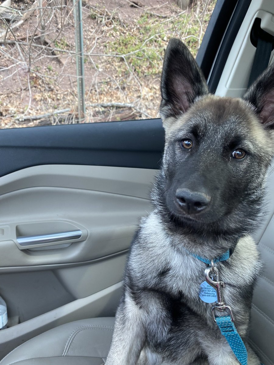 Meghan Coccia (@meghankathleen_) on Twitter photo 