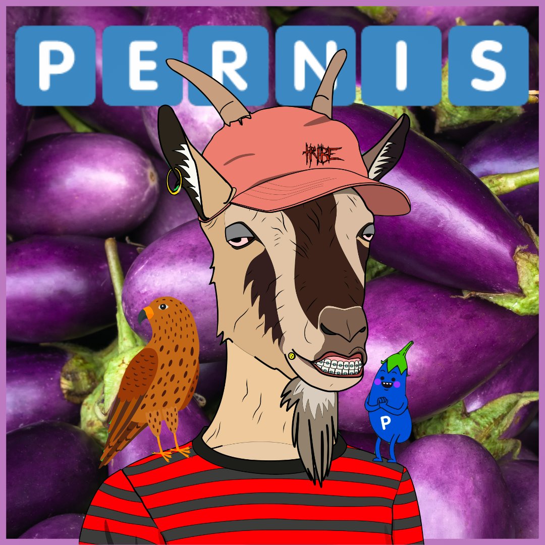 PERNIS Token tweet media