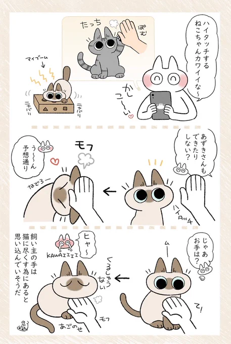 まあ間違ってはいないんだけど!(^ω^) #シャム猫あずきさんは世界の中心 