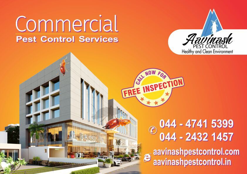 AavinashPest's tweet image. 📲 Contact us Today! +91 98414 97999

🌍 aavinashpestcontrol.com

#PestControlSolution #CommercialPestControlServices #PestControl #PestControlChennai #PestControlService #HerbalPestControlChennai #TermiteControlServicesChennai #CockroachControlServicesChennai