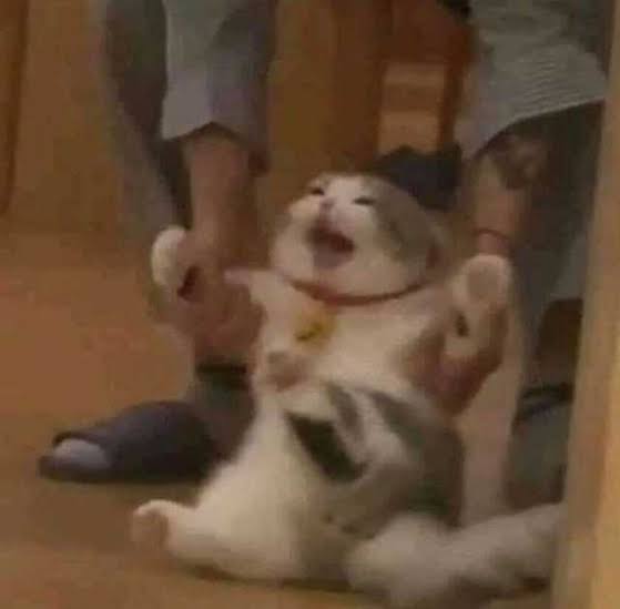l44mml's tweet photo. #Errorweek 

Day 1 
Kitty 

Siempre llego tarde, solo hice un día. https://t.co/XJXS0hKkpG