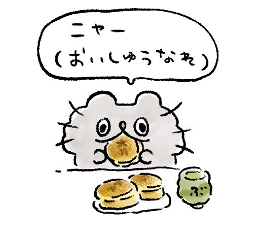 #ねこのぶーちゃん 