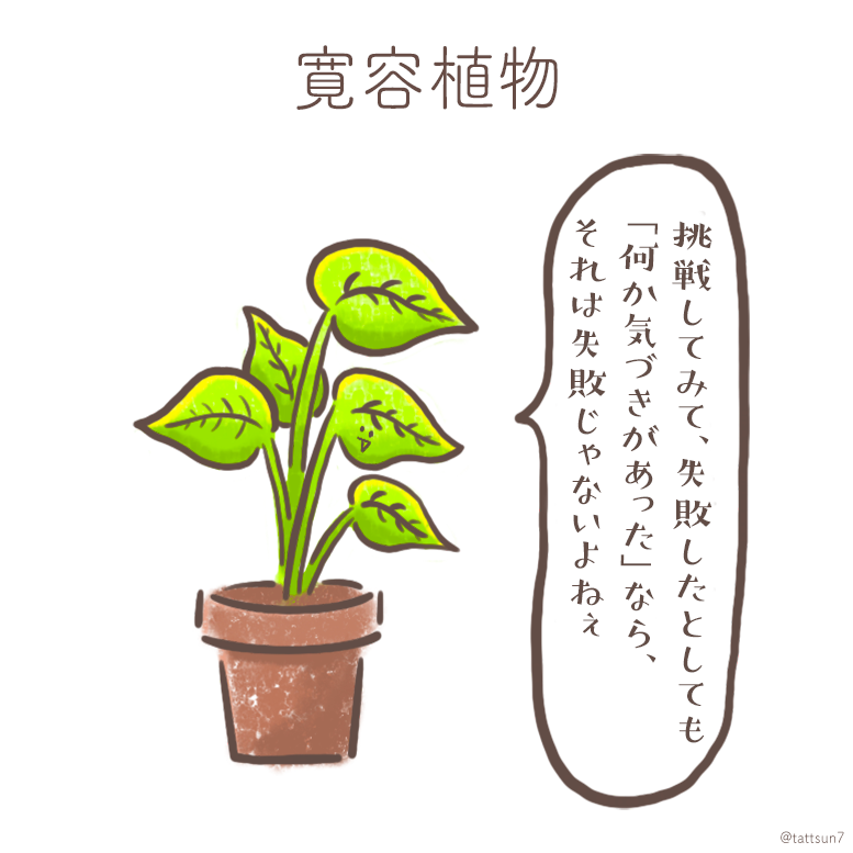 今日の寛容植物さん🌱 