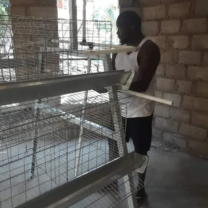 Mahlalelavgmai1's tweet photo. We started with 70 layers in 7months ago, we carry on to add 230 layers and make it 300 In total. We started building another coop and we expecting 200 layers soon. The cages were received yesterday. Thank you for the support n advices. God is great it's possible Darky🙏 Saf-farm https://t.co/iSQX2W8ik3