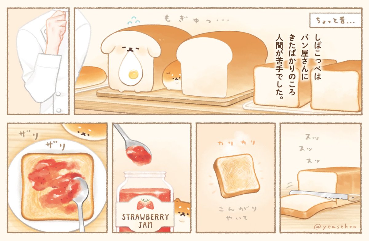 🍞( '・ᴥ・` )🍓
#柴犬の日 #しばこっぺの日 