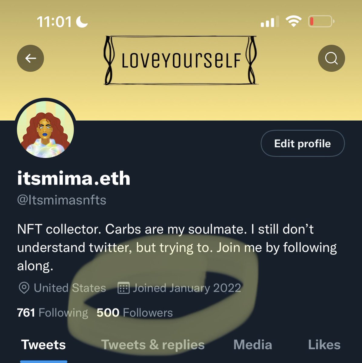 Thanks to all 500 of you! Can’t wait to meet more people from this awesome community! #WoWG #WoW #GangGang #GutterCatGang #nft #community #WomeninNFTs