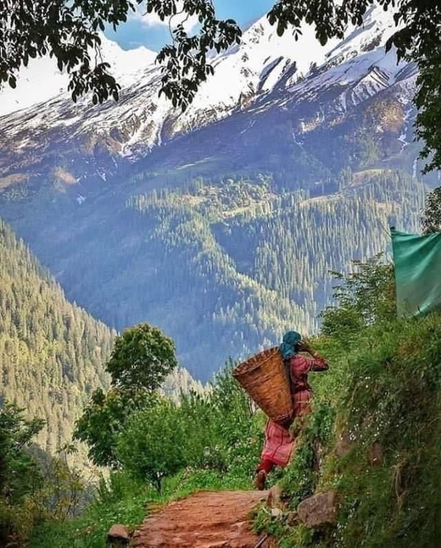 kailashathv's tweet photo. our guide cum cook who prepares lunch over wood fire,while you sit by the river. Any anglers there? Indulge yourself in #troutcatch . Thinking of a live barbecque with wine?Just what we do for our guest.#kasol #nature #naturewalk #himalaya #parvativalley #forest #himachalpradesh https://t.co/qPshTerjyQ