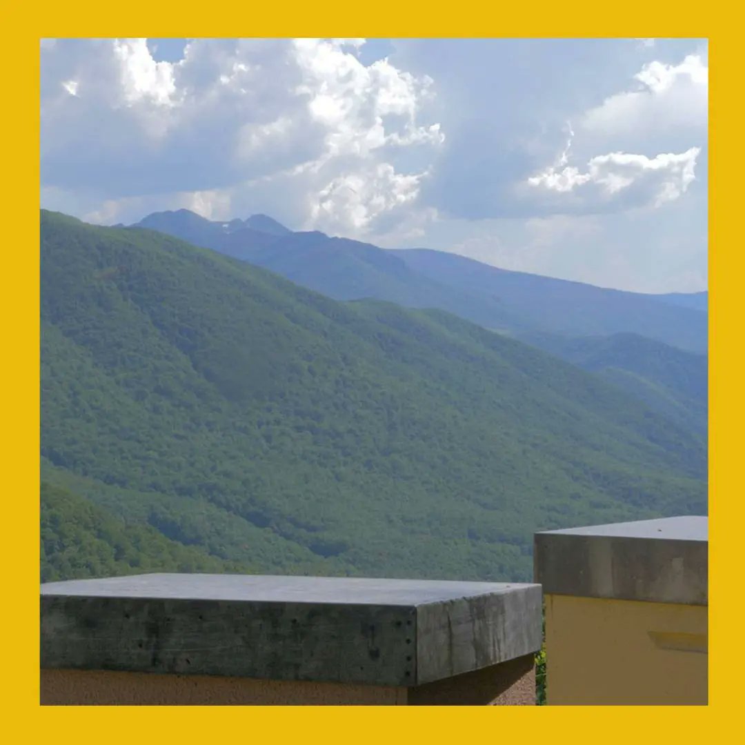 FuentesNarcea's tweet photo. En el mágico pueblo de montaña Fondos de Vega, se elabora la miel natural “Casa Martín”.

Desde hace varias generaciones, de forma artesanal y natural, se extrae este dorado manjar de las colmenas que ahí residen.

#ecoturismoenpeligrofest22 #miel #casamartin https://t.co/XPTBfliCwN