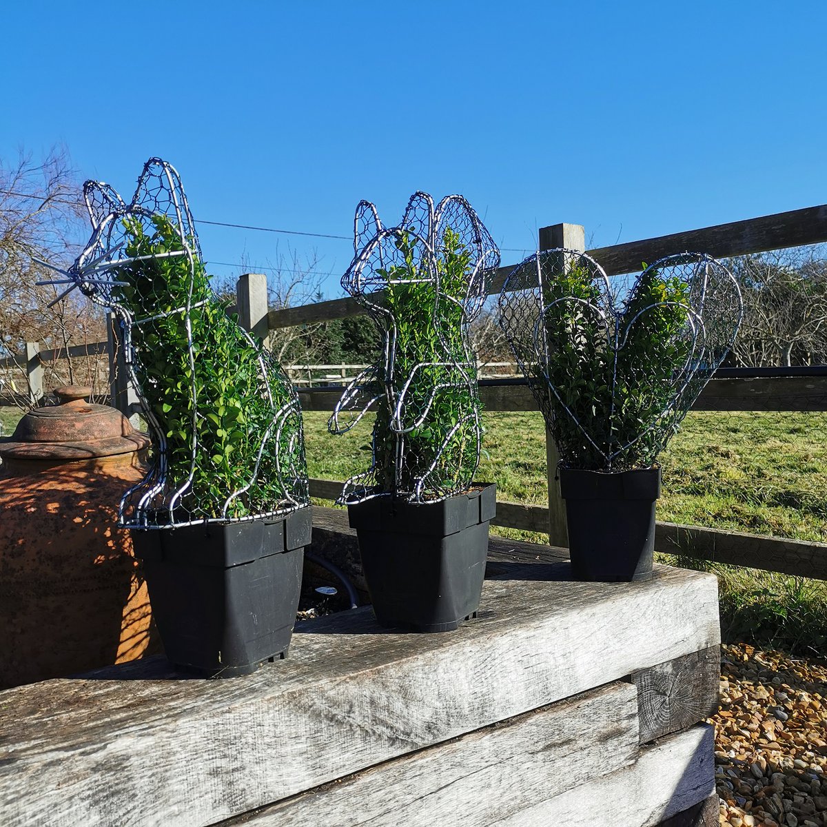 toptopiary's tweet photo. Some of our handmade topiary frames enjoying the spring sunshine...π
π#topiarycat πΏ#topiarysquirrel π#topiaryheart
#topiaryframes #plantsonline #giftideas
https://t.co/6aMA1estPE https://t.co/90PdN8sRwX