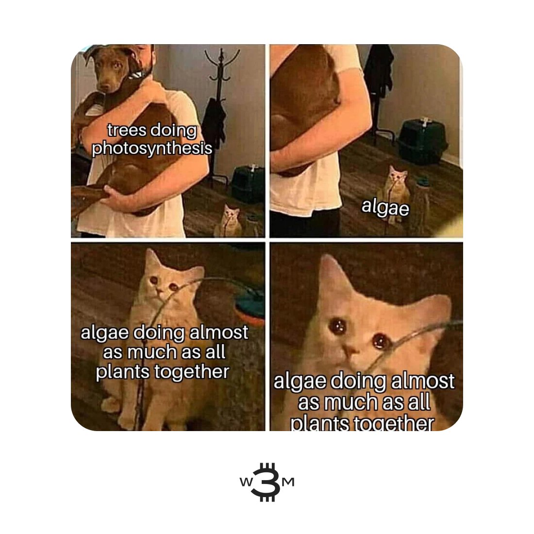 recycling #globalwarming #ecology #memes #environment #sustainability  #climatechange #planet #earth #3WM #blockchain #meme