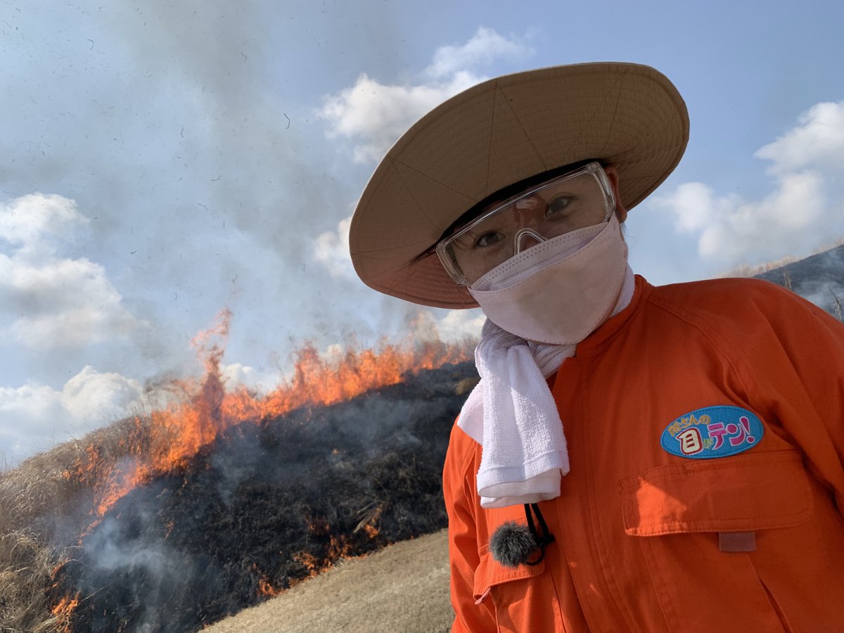 megaten_NTV's tweet photo. 今週の #目がテン は
 #いかちゃんの残したい〜トコロ🦑

訪れたのは #熊本県 #阿蘇地域
世界農業遺産に登録されているこの地域に特徴を
#いかちゃん（@ikachanndaa ）が調査します⭐️

阿蘇の草原、農業、畜産には一体どんな繋がりがあるのか🤔

4月10日（日）7時から🌈
お楽しみに
#いかちゃんと阿蘇 https://t.co/5bG73lqrbP