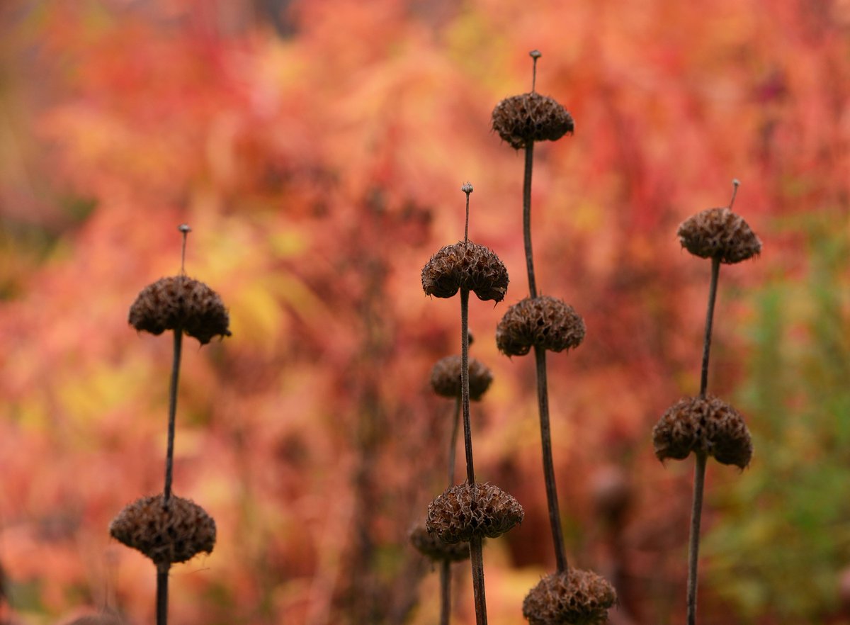 Have you discovered our spring exhibition yet? 🌼

‘Plant Communitas’ brings together artists who share a fascination for trees, weeds, herbs, flowers, roots and other living things. 

Curator, <a href="/PABrien/">Pabrien</a>, says “Hug the trees and love your weeds!” 🌳

museuminthepark.org.uk/plant-communit…