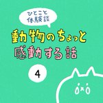 動物のちょっと感動する話。私がいなくて大騒ぎになっているのを見て焦っていた犬。