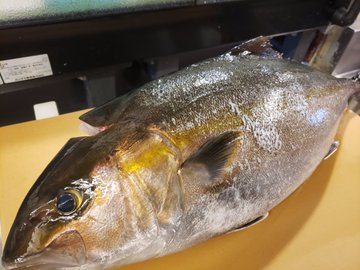 お さすがに読める 間八 なんと読む 魚漢字クイズ Sotokoto Online ソトコトオンライン 未来をつくるsdgsマガジン
