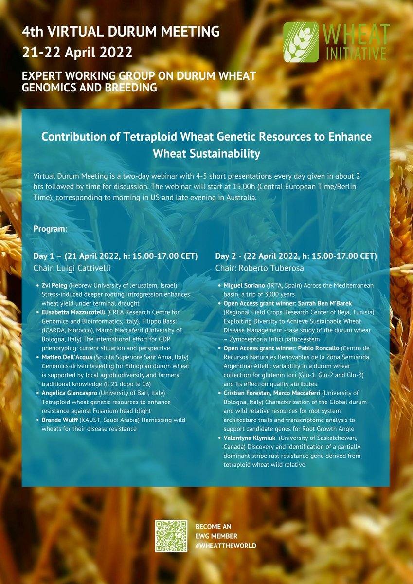 WheatInitiative's tweet photo. => Our Expert working group on DURUM WHEAT
GENOMICS AND BREEDING 🌾 has their 4th VIRTUAL DURUM MEETING
🗓 21-22 April 2022
Find the program below or on our website!

https://t.co/DJjZMUMSfD https://t.co/i7DhPq81jo