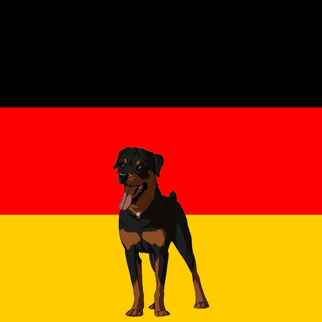 cryptodognation tweet media