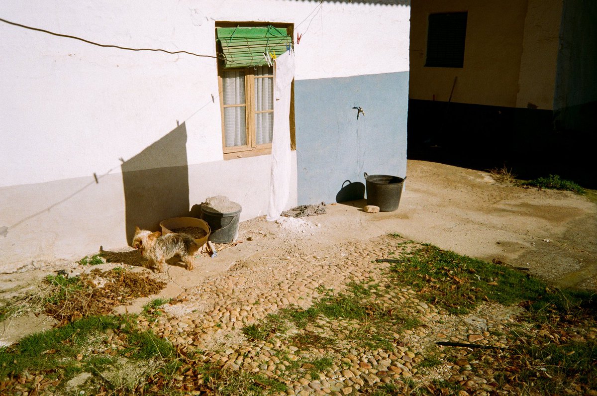 pedroma_'s tweet photo. es q 🥺📸🐕🪴🧺🏚🪑 https://t.co/zFZ6GckCp8