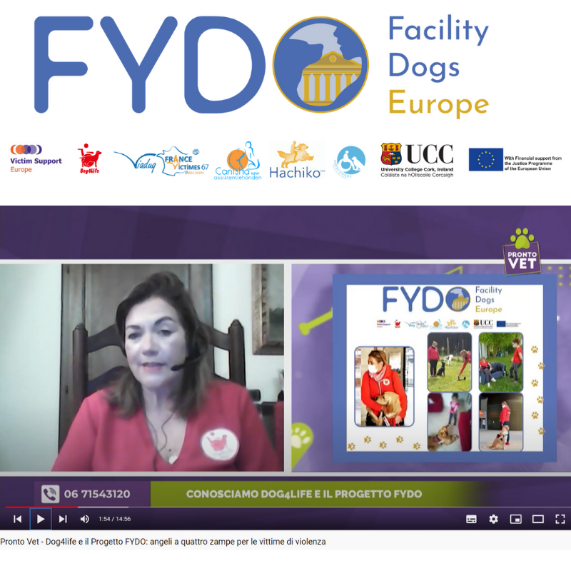 VictimSupportEU's tweet photo. 🇮🇹 @Dog4LifeToscana spotlighted the transnational #FYDO project during an #interview with @RadioNsl, showcasing how #facilitydogs are trained and how their work can #support vulnerable #victims!
📺 https://t.co/eH85KWYiRh
#FYDOFRIDAY #FacilityDogsEurope #SafeJusticeForVictims https://t.co/Vf8hER6wBw
