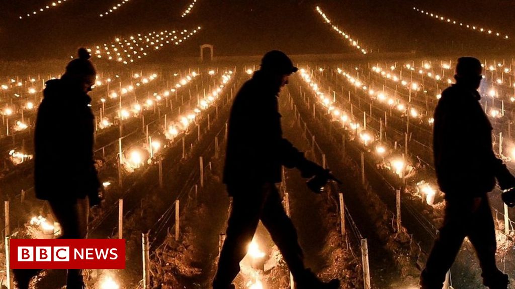It looks beautiful but an industry fighting to save their crop. Warm March and very cold April has French wine makers worried following last year's bad crop. This video is a really good reminder that the products we consume come from the earth buff.ly/3raXzOz