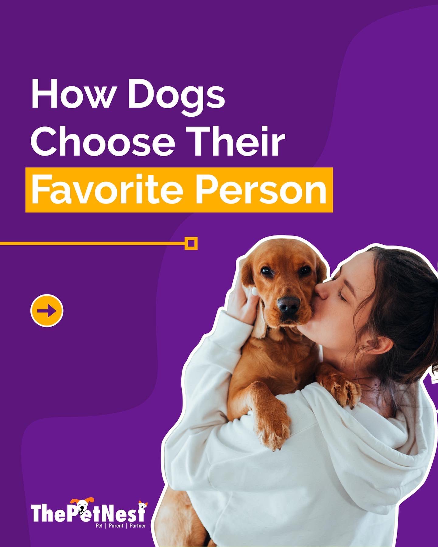 How Do Dogs Choose Their Favourite Person