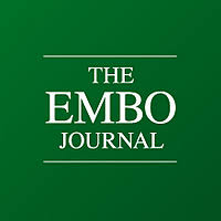 CEPR_Pathophysiology_Respiratory_Infections (@cepr_inf_immun) on Twitter photo So thrilled ! Our study entitled "Host succinate inhibits influenza virus infection through succinylation and nuclear retention of the viral nucleoprotein" was accepted for publication in <a href="/embojournal/">The EMBO Journal</a> ! So thrilled ! Our study entitled "Host succinate inhibits influenza virus infection through succinylation and nuclear retention of the viral nucleoprotein" was accepted for publication in <a href="/embojournal/">The EMBO Journal</a> !
