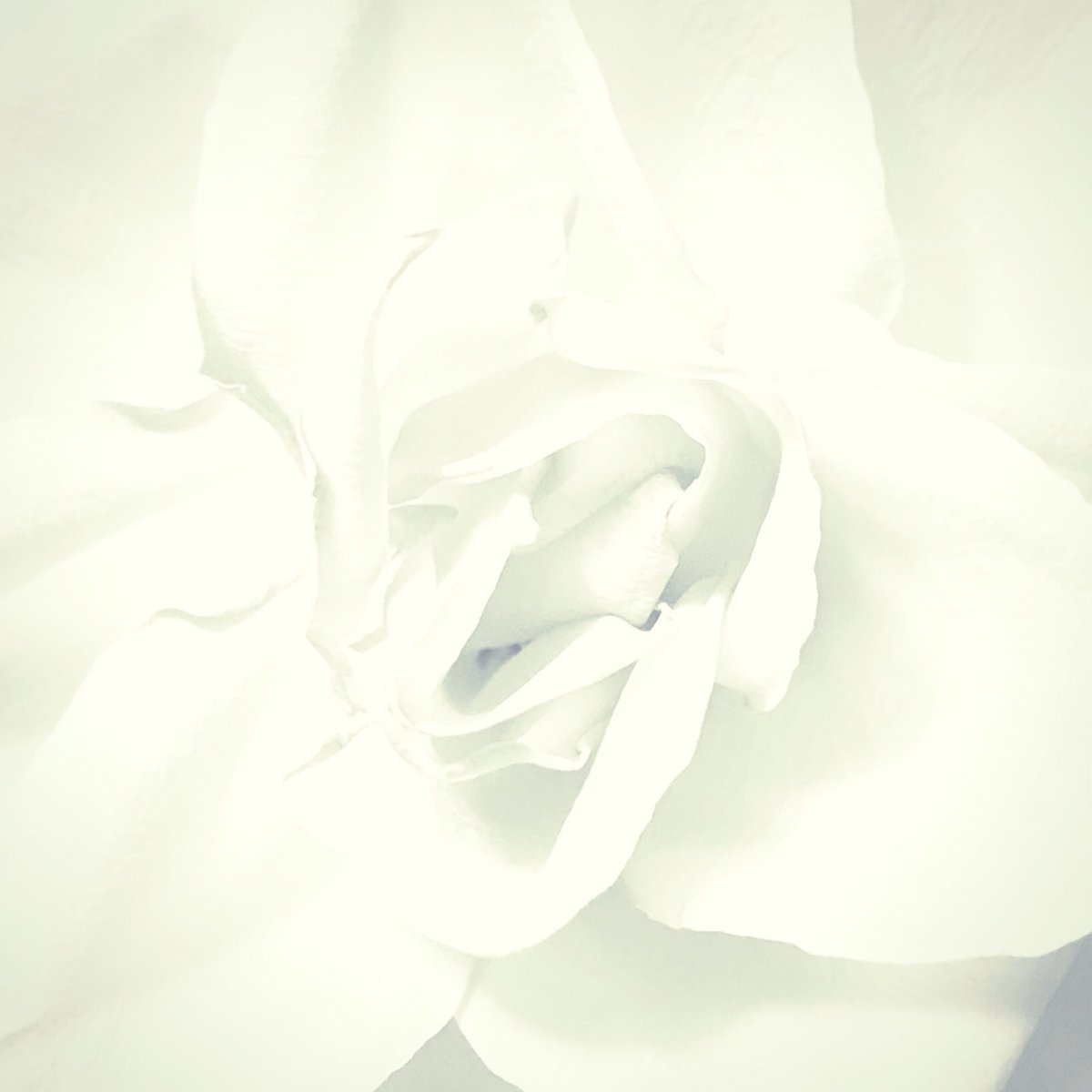 mindfuldrumming's tweet photo. Spring Update - https://t.co/REbtCWr7KM https://t.co/SgozpPObLl