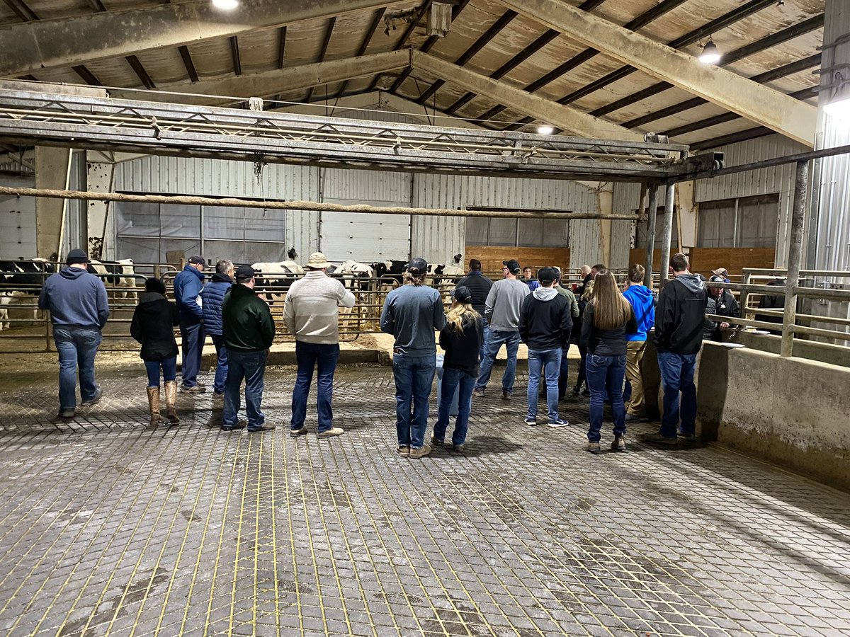 nickyrob4's tweet photo. So grateful for our friends and neighbours to come out and celebrate with us! Thanks to the Sussex Holstein Club @joel_walker69 for the refreshments, Sussex Shur-gain for food & Carolyn Turner @HolsteinCanada for her presentation🙏
#masterbreeder https://t.co/S7tshbKtl8