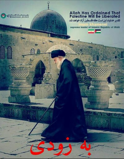 رؤیا 🟥 ☫ 🟩 tweet media