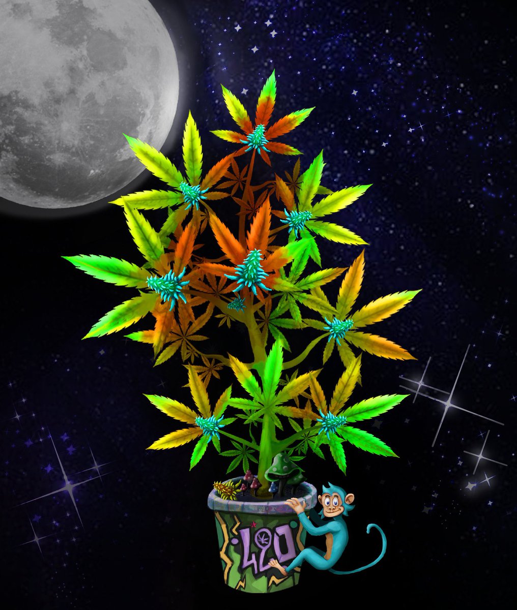 JuliaaaBurch's tweet photo. @koolk123456 @SolCGrowersClub For start investement in farm of cannabis in Uruguay  and receive a part of benefice realised 🇺🇾🔥🔥 https://t.co/xY1VyAdO8L