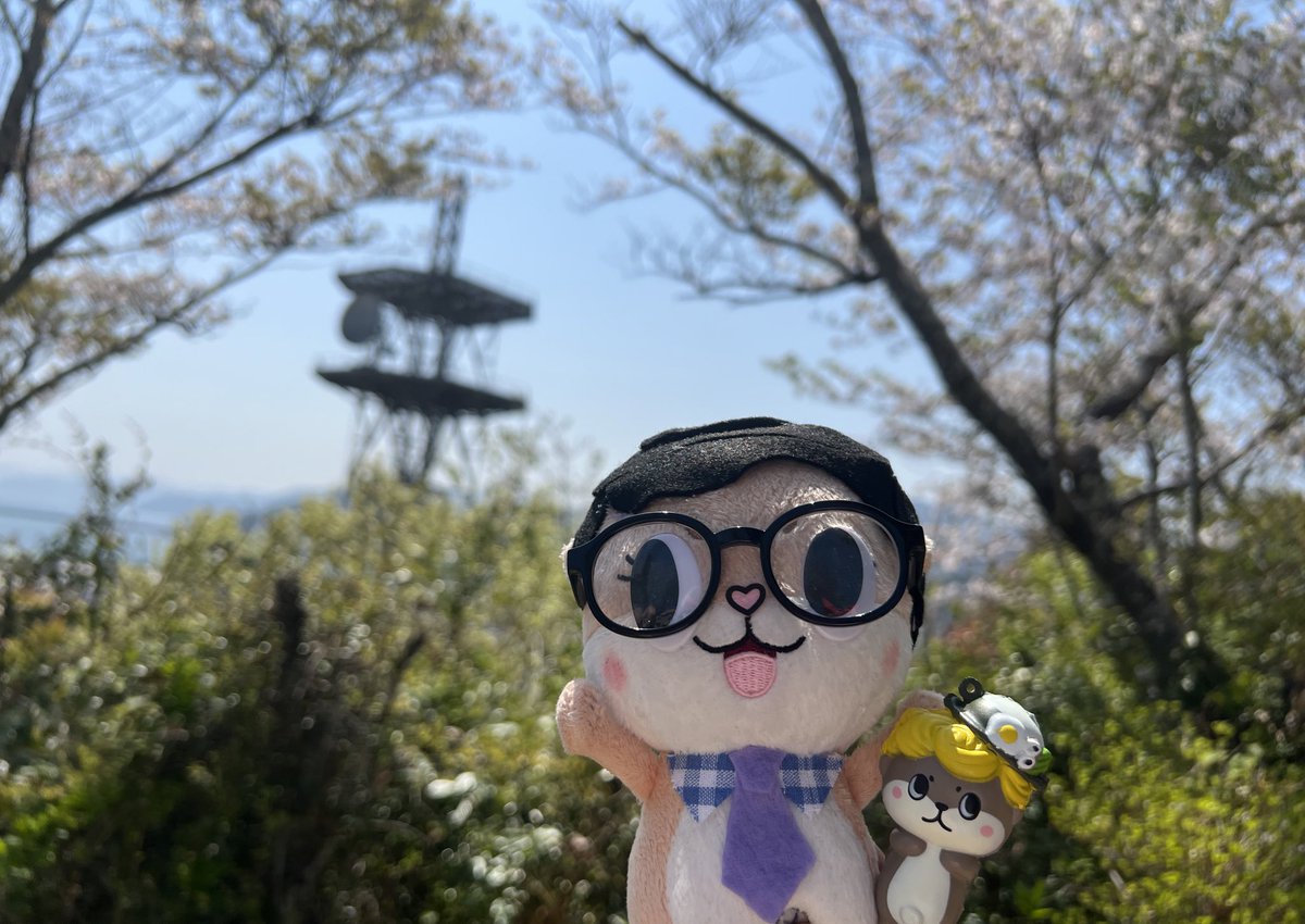 chiijohntravels's tweet photo. I had such a wonderful day exploring Susaki! Didn’t find my friend Shinjo-Kun, but was able to buy a small one to keep with me. I’ll post more photos of my journey! #LastWeekTonight #Chiijohn https://t.co/mcxRDigk2N