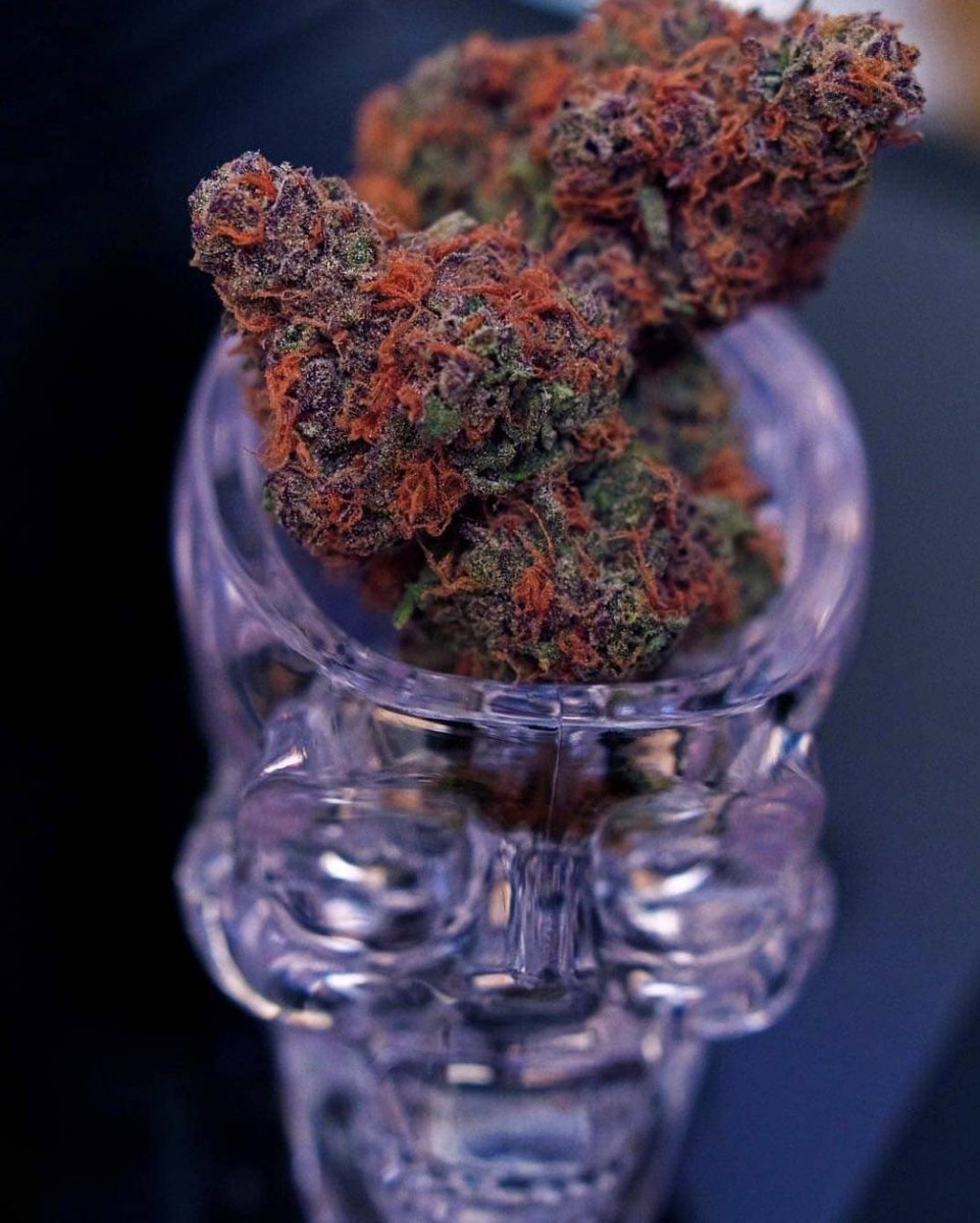 TrippyNation11's tweet photo. Enjoying 🤤 https://t.co/fNVCnHddLu