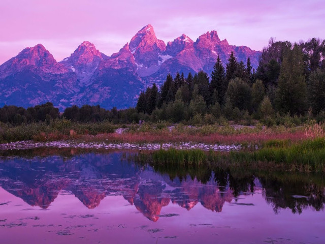 Southern Lights Underwater Theory Survey tweet media