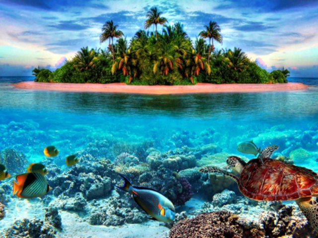 Southern Lights Underwater Theory Survey tweet media