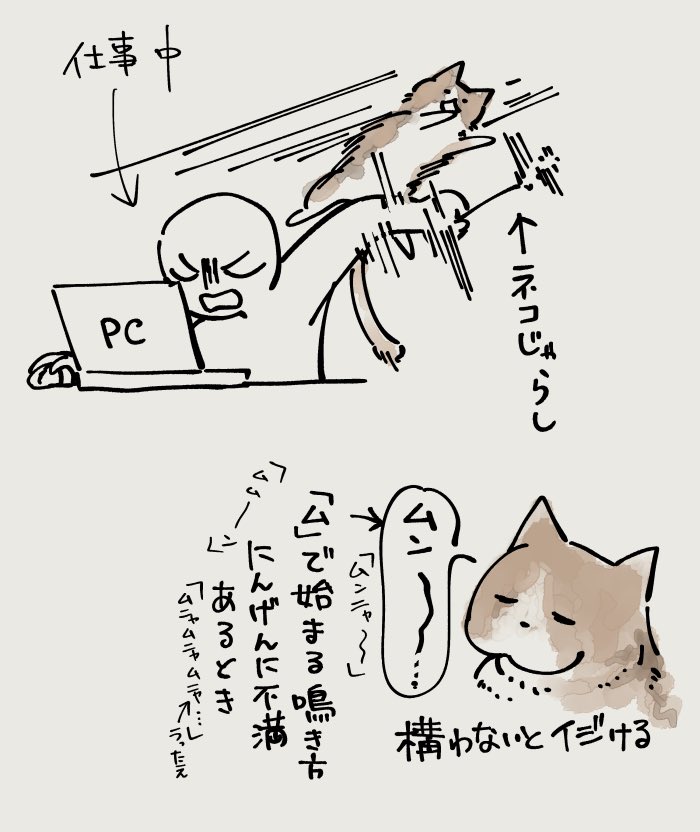 こねこちゃんナウと犯行現場 
