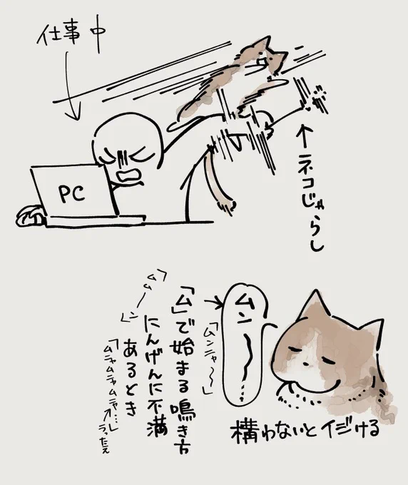 こねこちゃんナウと犯行現場 