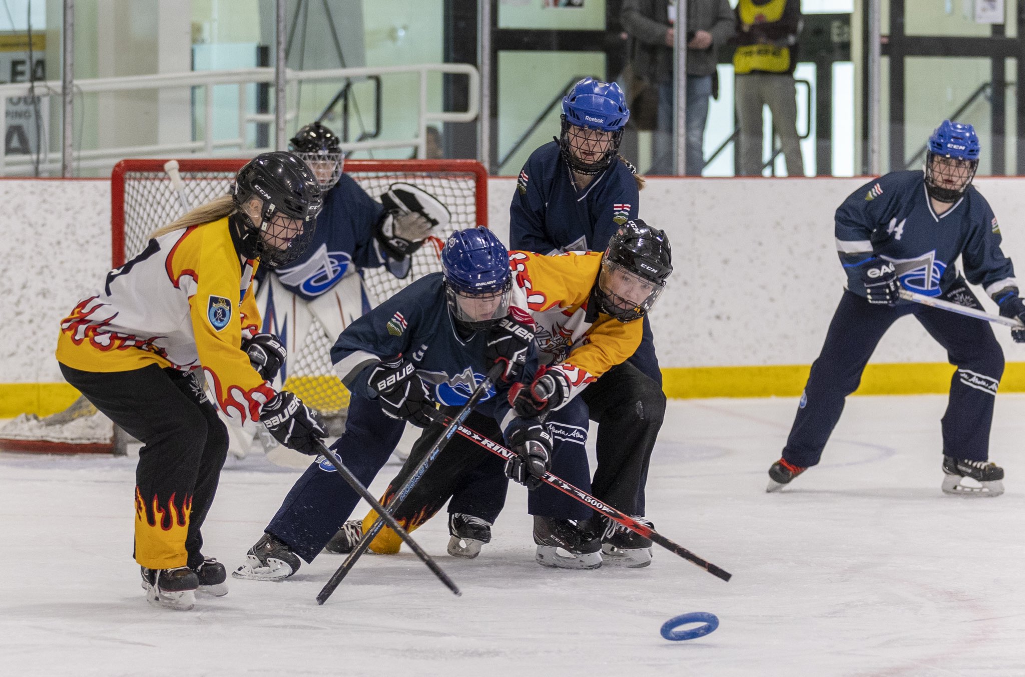 Ringette Ontario on Twitter "rnagpaldotca ringettealberta