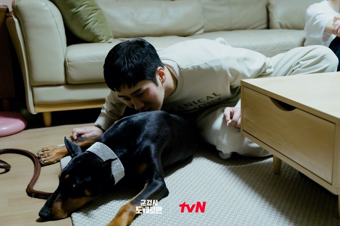 THEK___KING's tweet photo. 🐶Military Prosecutor Doberman🐶

#AnBoHyun #ChoBoA, who face the endless evil deeds of OhYeonSeo, finally start counterattacking! #MilitaryProsecutorDoberman

Check out the ranking on THEKKING!
The final 1st will be sent to New York Times Square!

*Source tvN official instagram https://t.co/hFShUBytnR