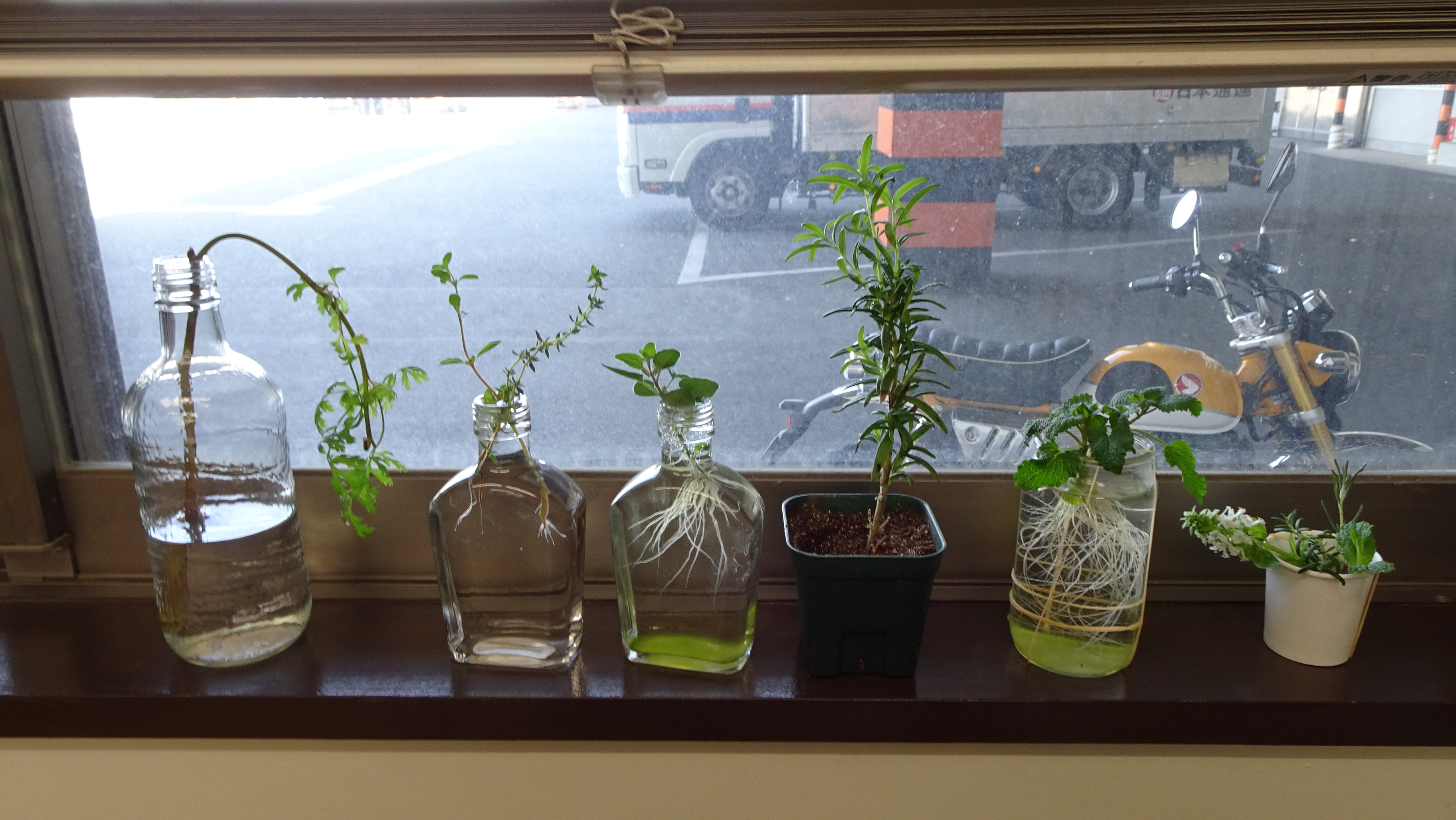 ハーブ坊や Nonnonherb Twitter