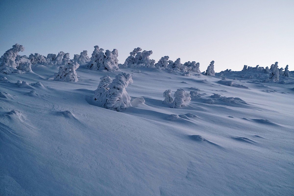 GM friends &amp; goodbye winter! <a href="/realkopernikk/">Honza Řeháček</a>