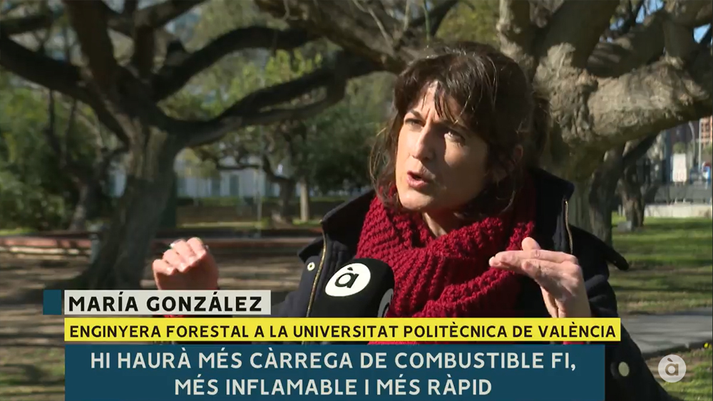 👉Desprès del periode de pluges🌧️ en la CV, quin és l´estat dels boscos🌳🌲 de cara a l´estiu? 
👩‍💻<a href="/Mara19199696/">María González - Sanchis</a> ho va contar a <a href="/apunt_media/">À Punt</a>: 
"Hi haurà més carrega de combustible fi, més infamable i es propagarà més ràpid". 
🙌A partir del 10:17 min: 
📺 bit.ly/3xh0Xv4