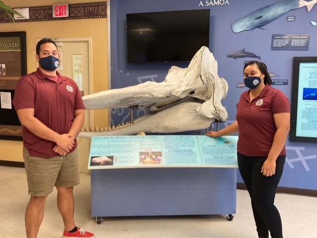NPamericansamoa's tweet photo. Sperm whale
The skeletal remains of a sperm whale that washed up in Ofu, Manu’a in 2015 is now in the National Park of Samoa’s Visitors Center for the public to see. https://t.co/Rfx1E0TKKG