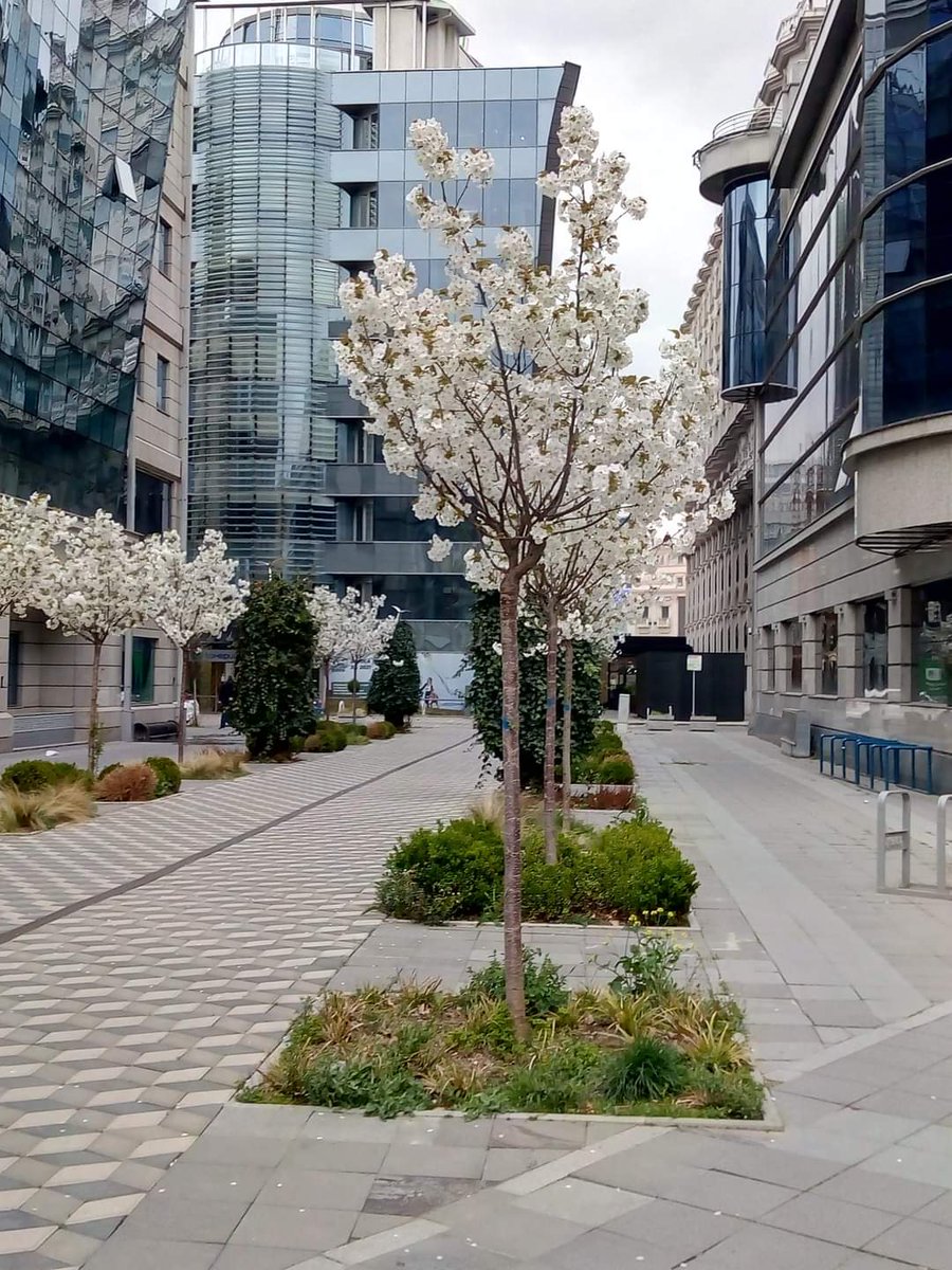 Скопје најубаво