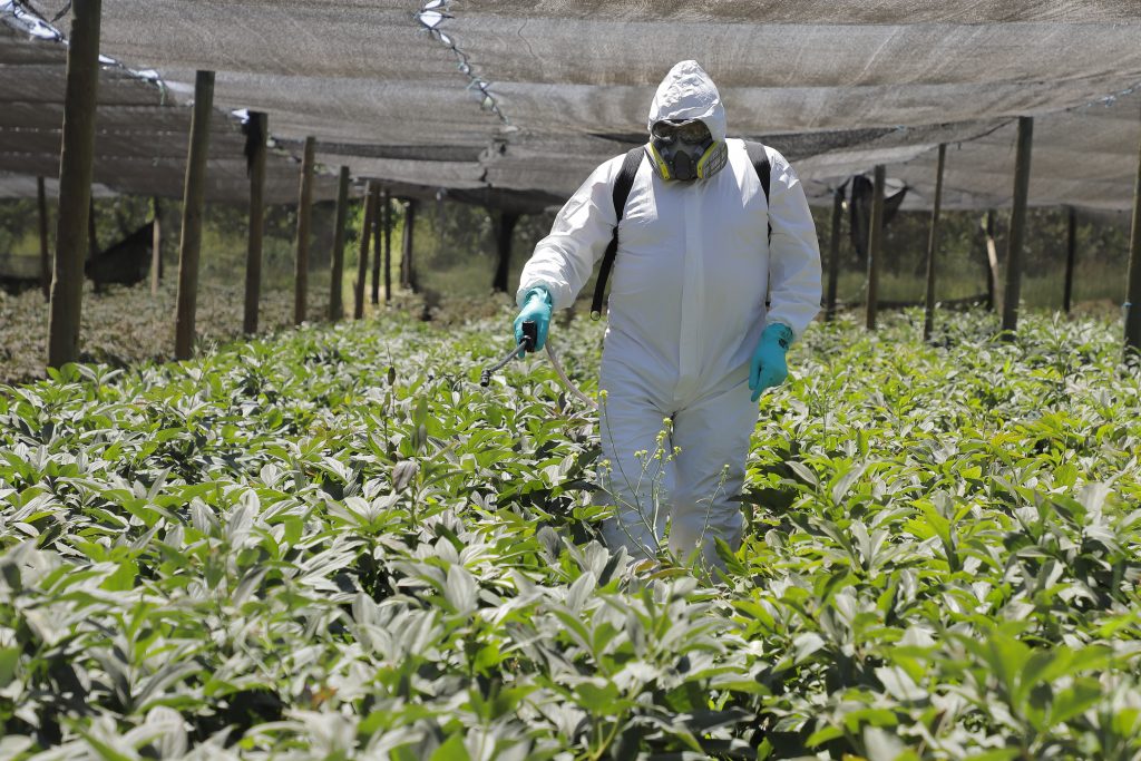 BASF Agro España tweet media