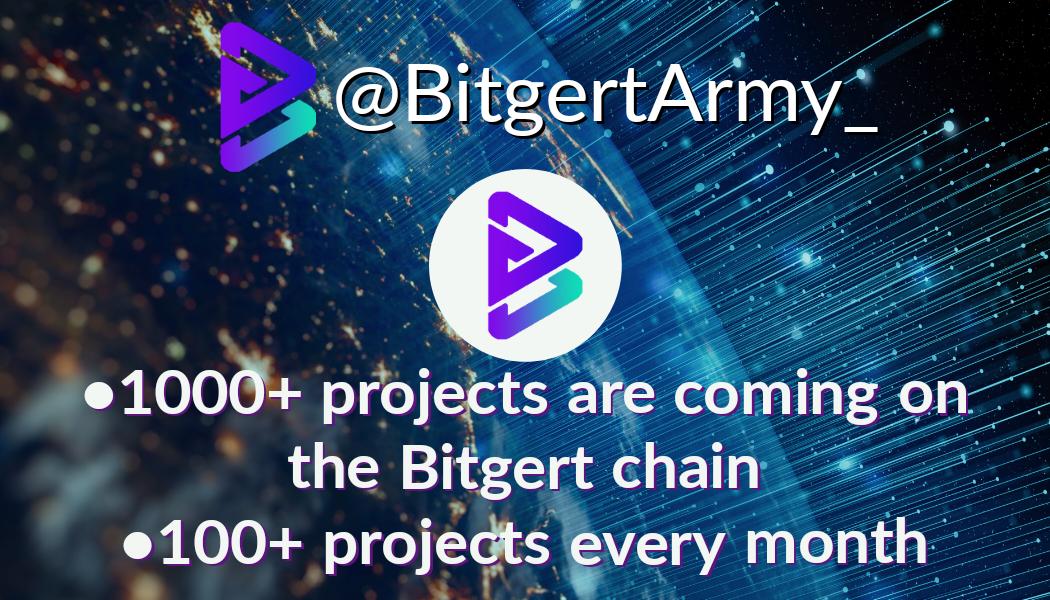 Bitgert Army tweet media
