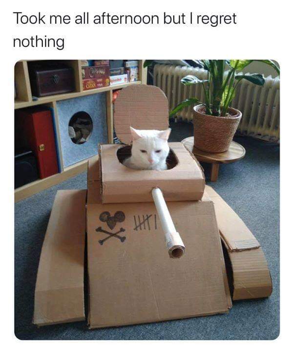 MatthewAMullins's tweet photo. Cats will sit in anything... https://t.co/3Rq9Bnt8En