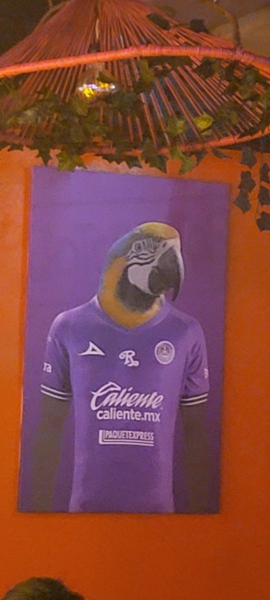 Cuando una cubetona aqui Tio Richie??? <a href="/RicardoBSalinas/">Don Ricardo Salinas Pliego</a>