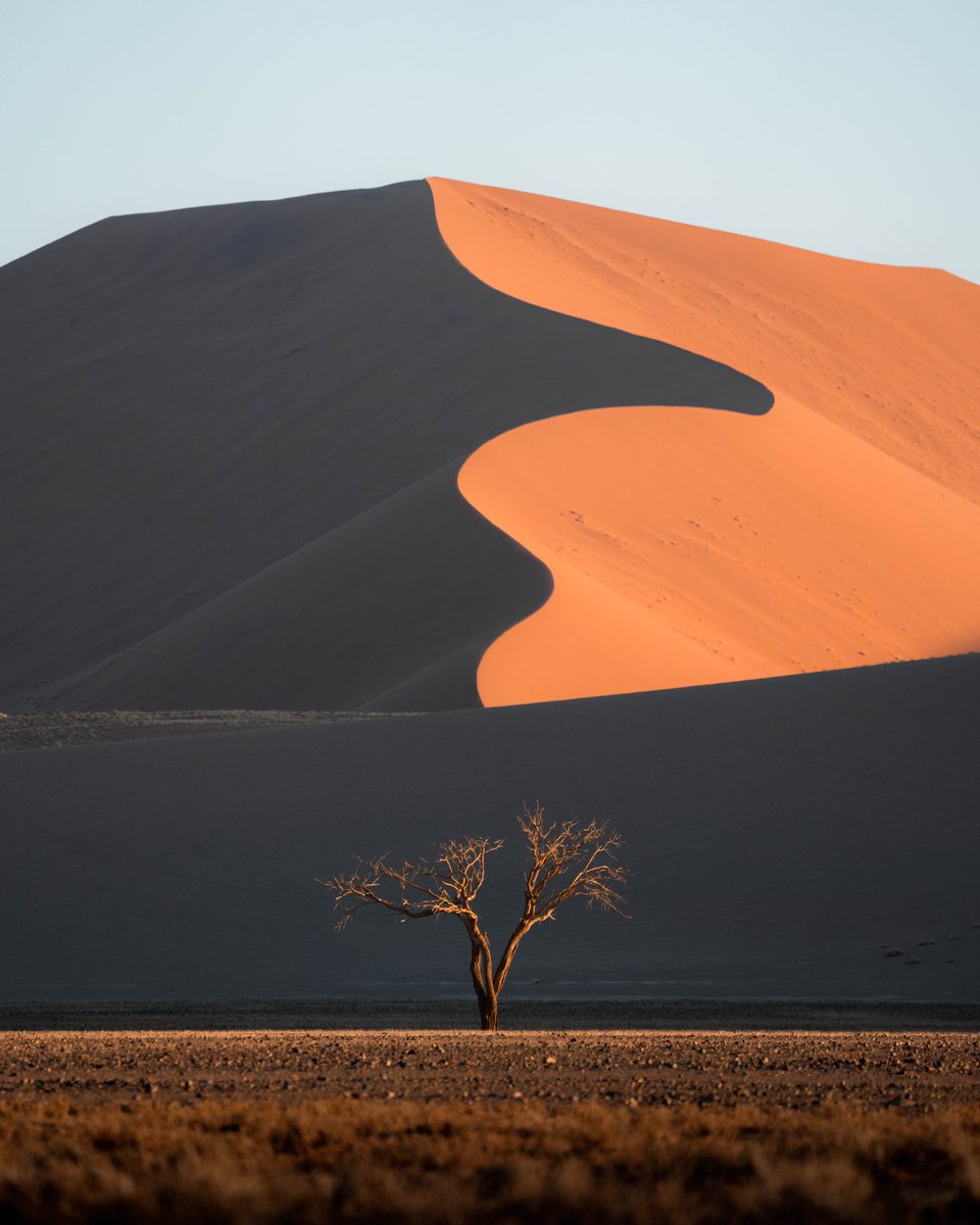 LucaRenner.eth tweet media