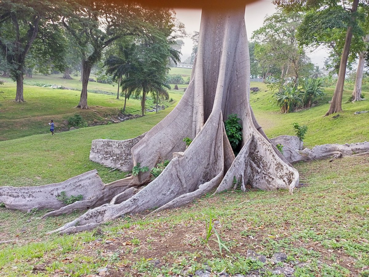 Oh mi mi Guinea, oh mi bella nación. Cada día más linda, exigente, competente; con pendientes que brindan oportunidad de crecimiento, con muchísimos aciertos dignos de elogiar. Cada día estoy más convencido de estar en el mejor lugar del mundo. Love ❤️ #EG <a href="/anynsue/">Âny Nsue</a> <a href="/yohhmedia/">Media</a>