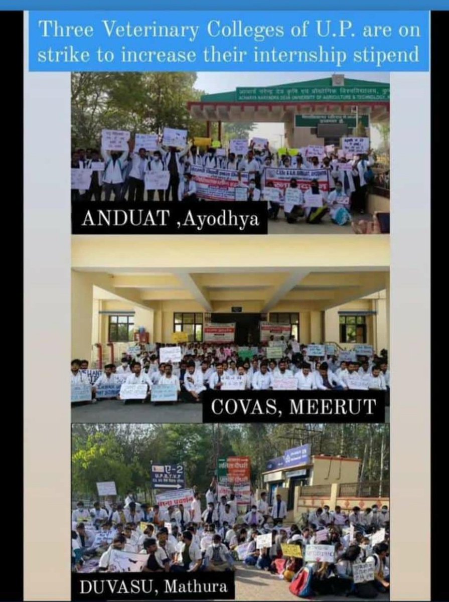 #Increase_UP_vets_Stipend
#SVPUAT_Meerut
#DUVASU_Mathura
#ANDUAT_Ayodhya
<a href="/myogiadityanath/">Yogi Adityanath</a> <a href="/CMOfficeUP/">CM Office, GoUP</a> <a href="/ANINewsUP/">ANI UP/Uttarakhand</a> <a href="/drsanjeevbalyan/">Dr. Sanjeev Balyan</a> <a href="/Aamitabh2/">Amitabh Agnihotri</a> <a href="/brajeshpathakup/">Brajesh Pathak</a>  <a href="/dharampalbjpmla/">Dharampal Singh</a> <a href="/ktakshish/">Ashish Mishra</a> <a href="/atul1chaturvedi/">atul chaturvedi</a> <a href="/PRupala/">Parshottam Rupala</a> <a href="/VikasSaraswat/">Vikas Saraswat</a> <a href="/atulpradhansp/">Atul Pradhan</a> @SangeetSomBJP