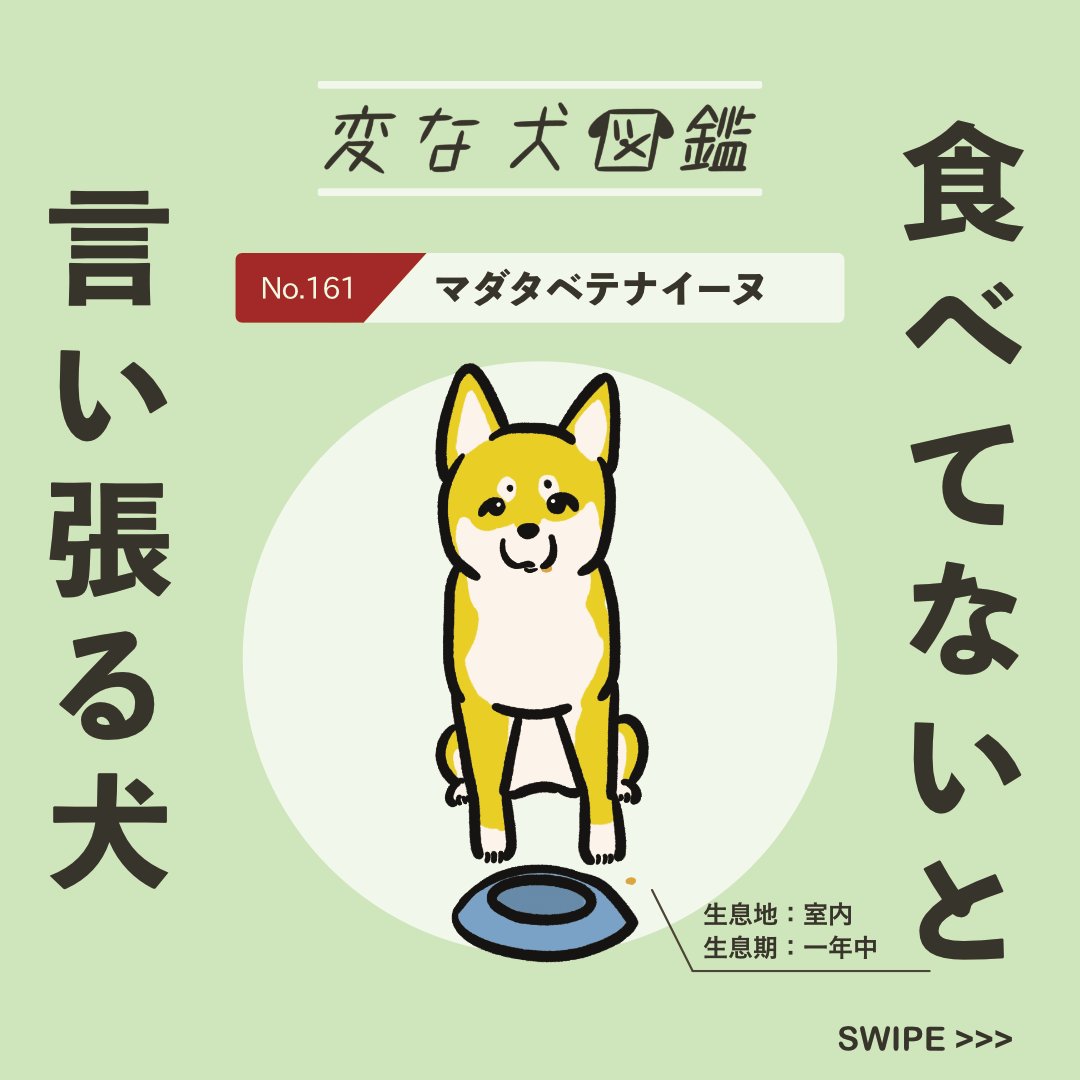 【変な犬図鑑】
No.161 マダタベテナイーヌ
ちゃんとご飯を食べたのに、まだ食べていないと言い張るあの犬です。

#柴の日 